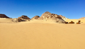 Sahara Egypt - výprava do Západní pouště